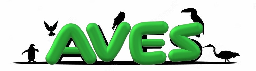 Todo sobre las aves